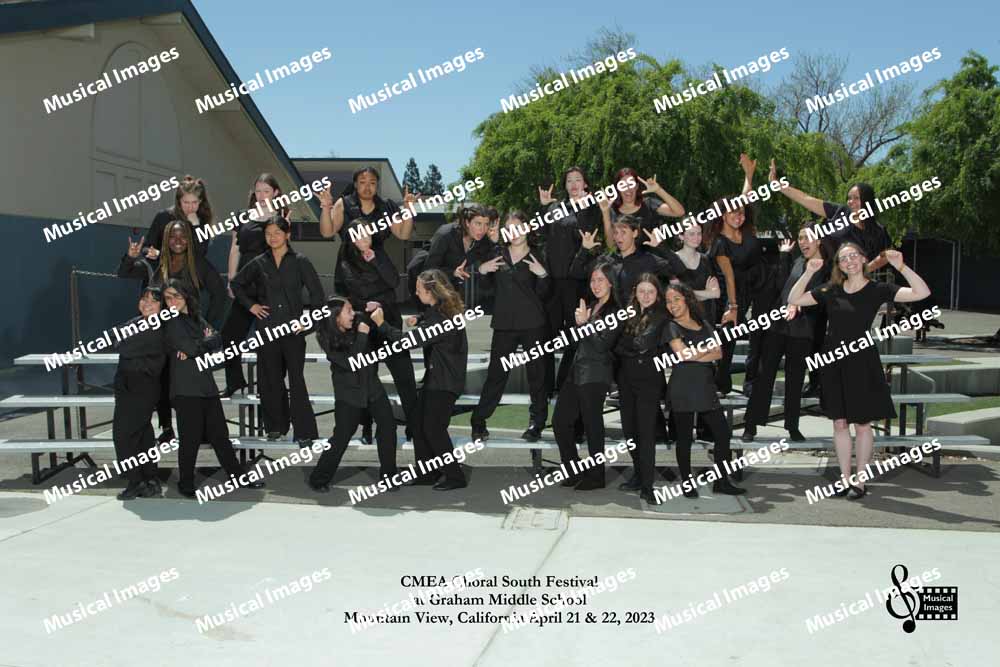 Musical Images